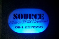 MG_Rover_Paulresized_Car_Audio_Sheffield_Source_Sounds1