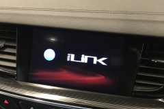 Vauxhall Insignia 2017 reverse camera moving lines 005